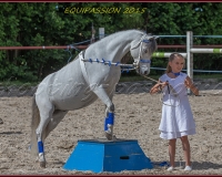 1-13JUIN 0937